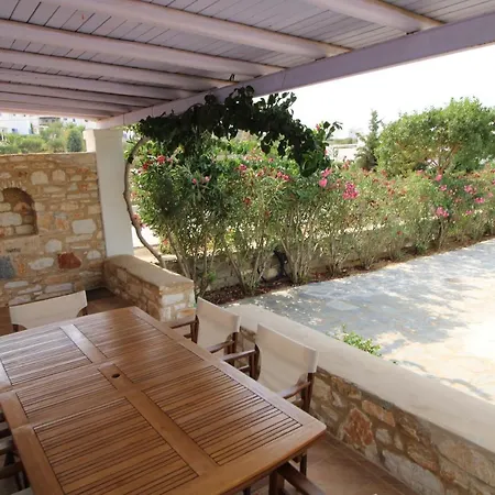 Blue Xenia - 2 חריסי אקטי